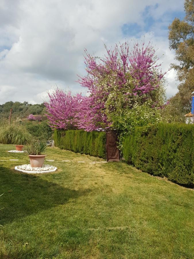 Hotel Casa Grande Constantina Bagian luar foto