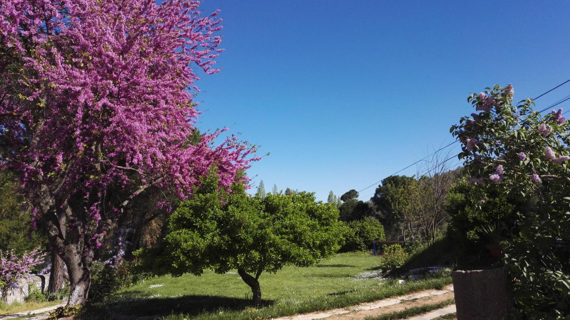 Hotel Casa Grande Constantina Bagian luar foto